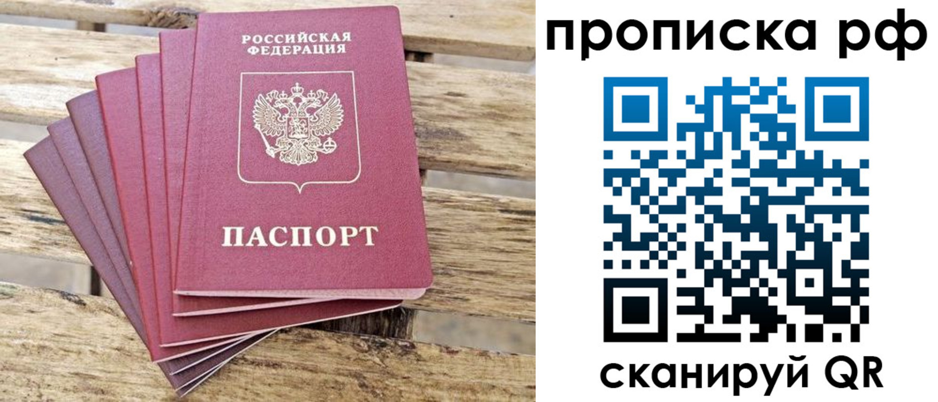 прописка гарантия в Николаевске